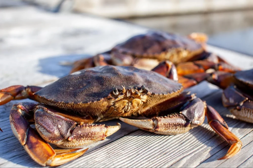 5 Epic Coastal Seafood Trails You Can Road Trip This Summer 5 5 Epic Coastal Seafood Trails You Can Road Trip This Summer
