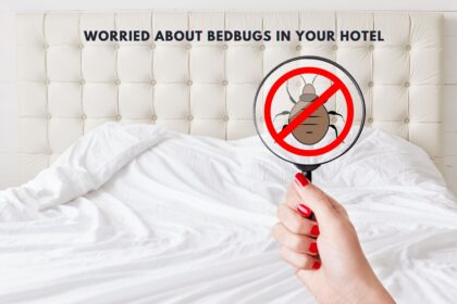Worried About Bedbugs in Your Hotel